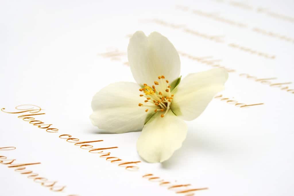 wedding-guest-etiquette